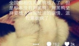 周黑鸭最新爆料,独家揭秘品牌背后的秘密与未来动向